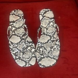 LOFT Women’s Square Toe Flip Flops